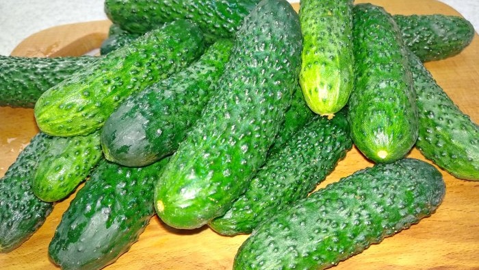 Classic recipe for pickling crispy lightly salted cucumbers in a jar