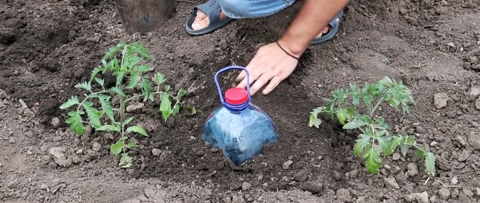 Şişelerden ücretsiz, ekonomik damla sulama yapıyoruz