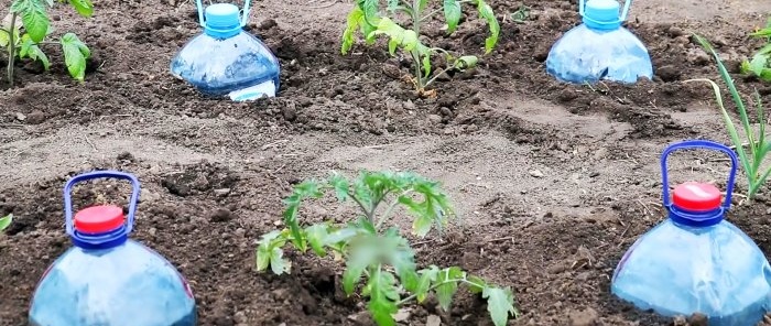 Şişelerden ücretsiz, ekonomik damla sulama yapıyoruz