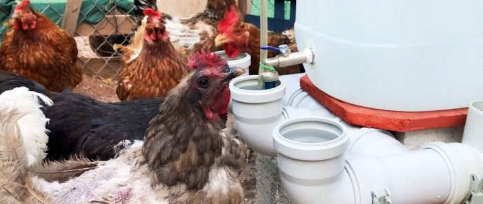 Automatic waterer for poultry from sewer tees and elbows