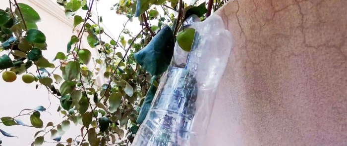 Cómo hacer un sencillo recolector de frutas con ramas altas a partir de una botella de PET