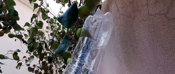 Cómo hacer un sencillo recolector de frutas con ramas altas a partir de una botella de PET