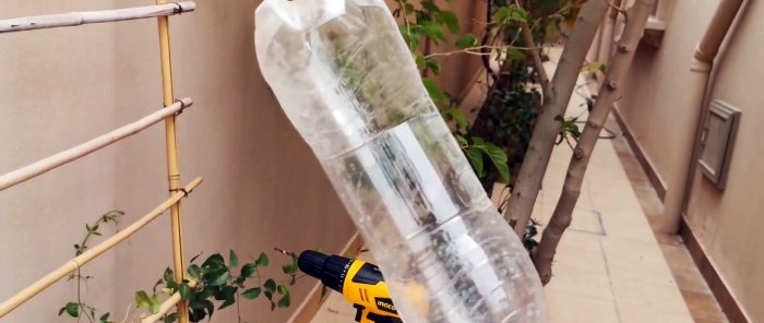 How to make a simple fruit picker from high branches from a PET bottle