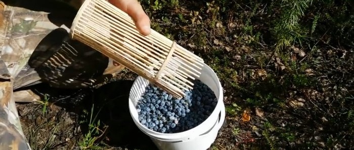 Kako napraviti kombajn za bobice