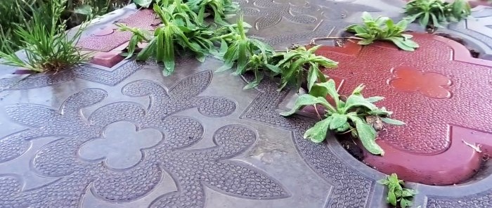 An almost free way to get rid of weeds in the seams of paving slabs without chemicals