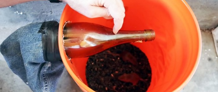 A simple mousetrap for mass catching of rodents from a bucket and glass bottle