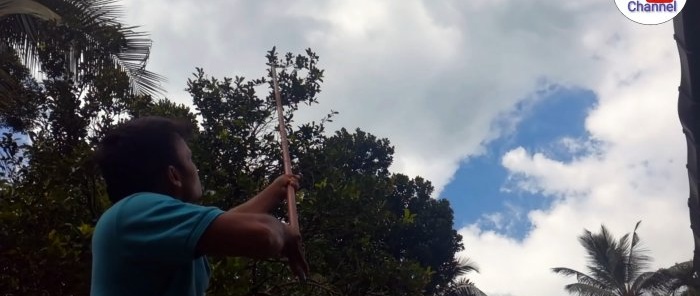 Paano gumawa ng isang high-rise pruner mula sa isang regular na pruner