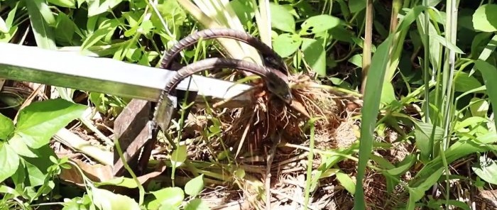 Com fer una eina per eliminar les males herbes grans fàcilment