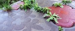 An almost free way to get rid of weeds in the seams of paving slabs without chemicals