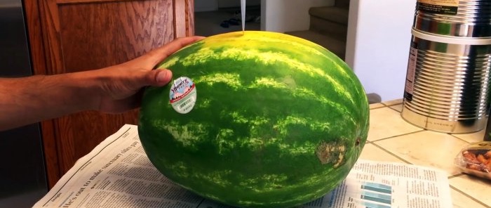4 známky toho, jak poznat sladký meloun