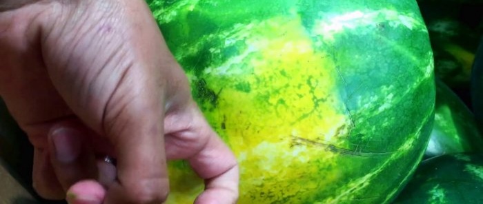 4 ženklai, kaip atpažinti saldų arbūzą