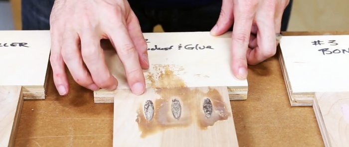 6 วิธีซ่อมรูตันในชิ้นส่วนไม้ด้วยมือของคุณเอง