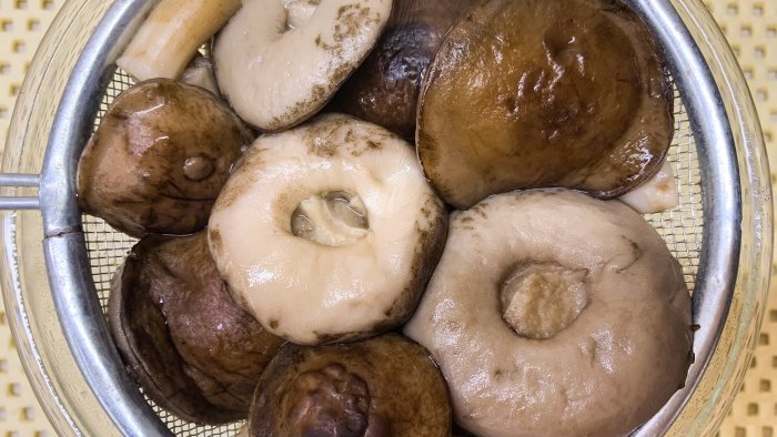 Cum să prăjiți delicios ciupercile porcini într-o tigaie