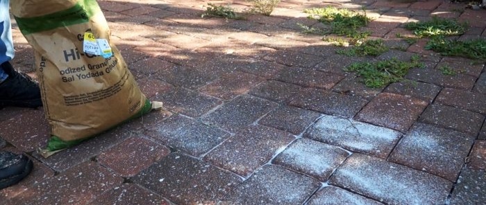 Come eliminare le erbacce tra le lastre della pavimentazione in modo economico, ecologico e senza stress