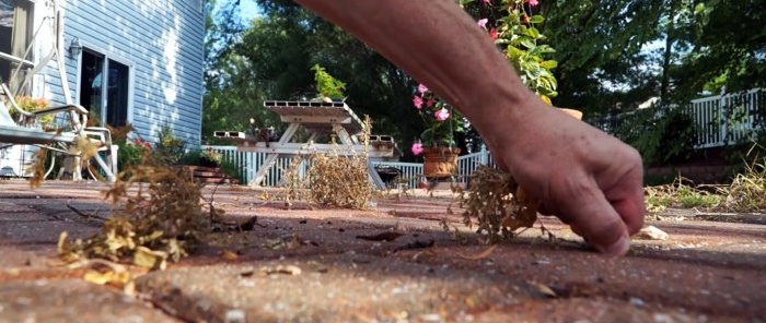 Paano mapupuksa ang mga damo sa pagitan ng mga paving slab sa murang, kapaligiran at walang stress na paraan