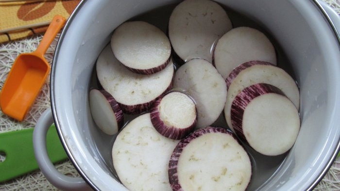 How to dry eggplants without a dryer