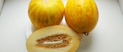 Hvordan rett og slett bevare melon og nyte "biter av sommeren" om vinteren