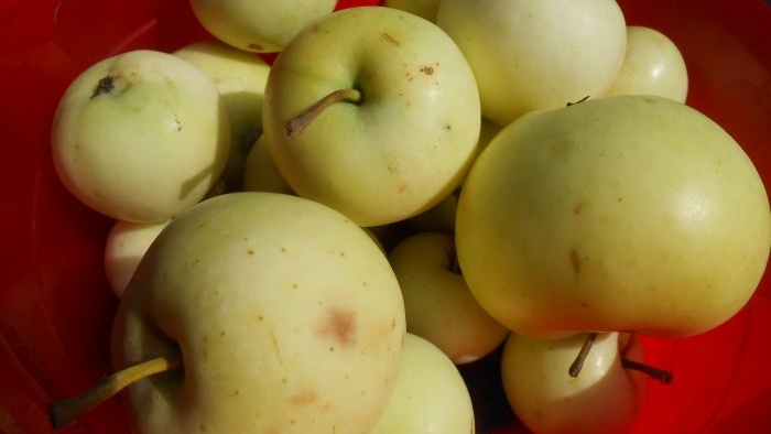 Pomocou jabĺčkových zŕn na výrobu kompostu a vytvorenie teplých záhonov
