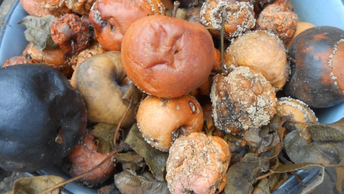 Appelkadavers gebruiken om compost te maken en warme bedden te creëren