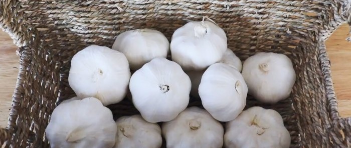 4 cara untuk menyimpan bawang putih untuk masa yang sangat lama di rumah tanpa ruang bawah tanah