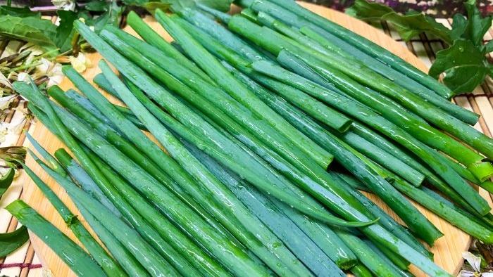 Façons de congeler les oignons verts tout au long de l'hiver