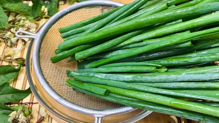 Façons de congeler les oignons verts tout au long de l'hiver