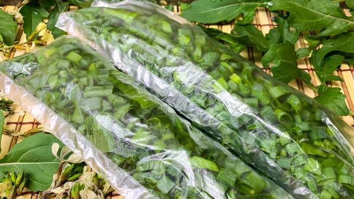 Modi per congelare le cipolle verdi durante l'inverno
