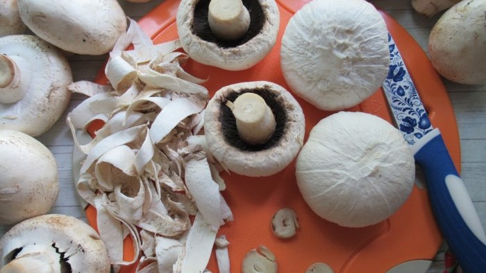 How to make mushroom powder at home