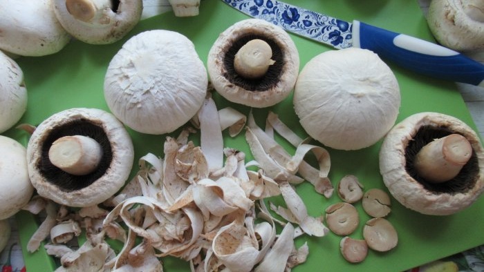 Hvordan tørke champignoner uten tørketrommel