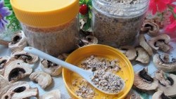 Wie man zu Hause Pilzpulver herstellt, ein köstliches Gewürz mit eigenen Händen
