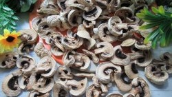 How to dry champignons naturally without a dryer or oven