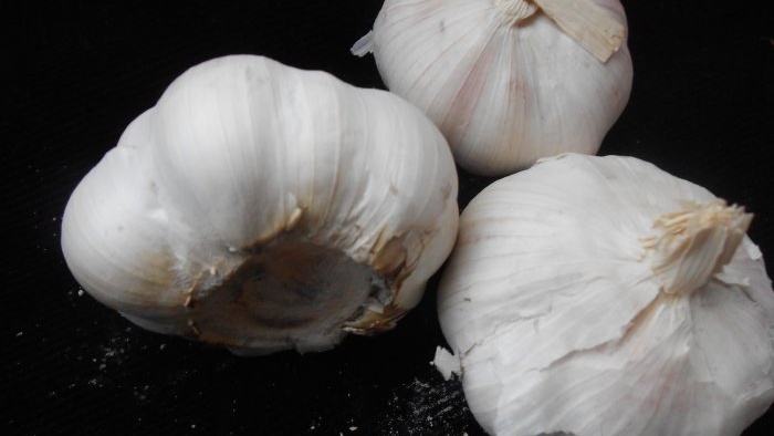 6 modi comprovati per conservare l'aglio durante l'inverno nel tuo appartamento