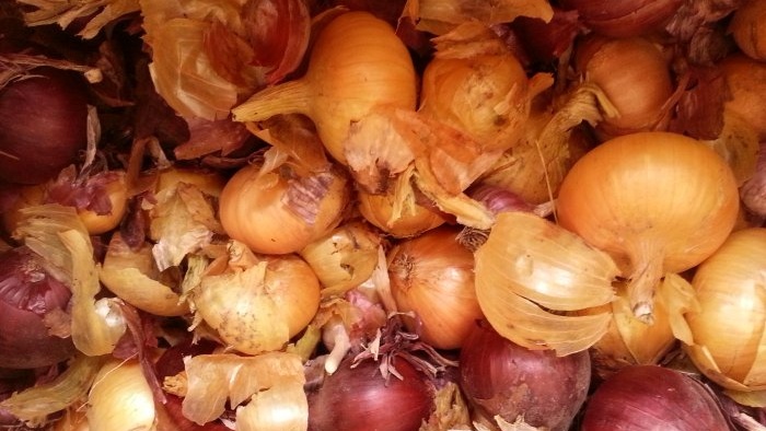 Comment conserver les légumes - trucs et conseils utiles