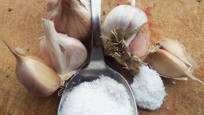 Bagaimana dan mengapa menggunakan garam batu semasa menanam bawang putih