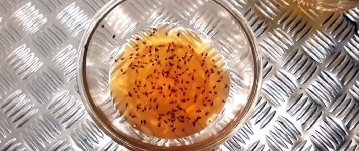 Comment se débarrasser des mouches des fruits dans un appartement en 2 jours