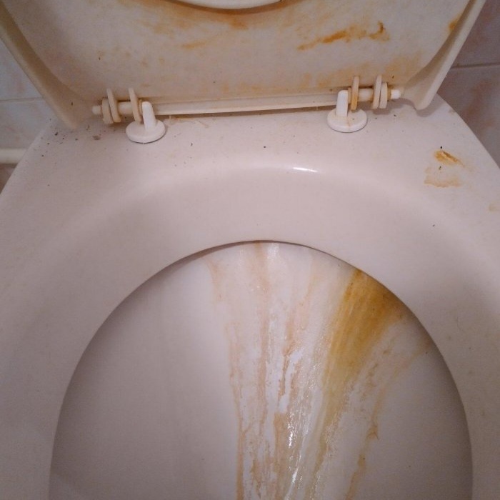 Hvordan rengjøre et toalett fra rust og plakk med egne hender