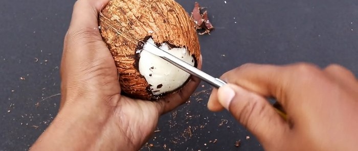 2 life hacks Kā viegli nomizot vai sašķelt kokosriekstu