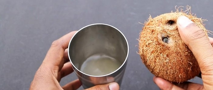 2 life hacks Hvordan skrelle eller dele en kokosnøtt enkelt