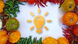 A zöldségek tárolása: trükkök és hasznos tippek
