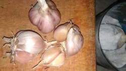 How and why to use rock salt when planting garlic