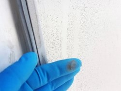 Life hack: πώς να πλένετε τα παράθυρα για να παραμείνουν καθαρά περισσότερο