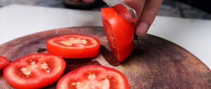 En metode for å dyrke tomater fra frø i hengende PET-flasker.Passer også for leiligheter og balkonger.