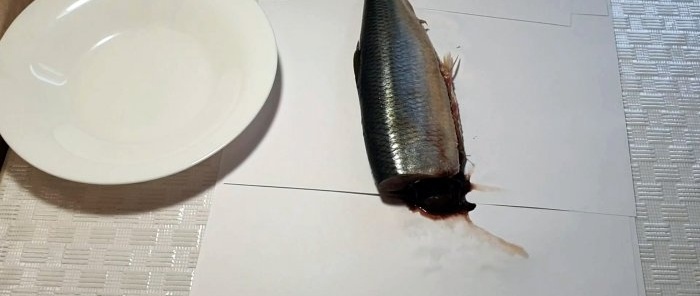 Ringa balığını hızlı bir şekilde kemiksiz filetolara ayırmak için bir yırtma yöntemi