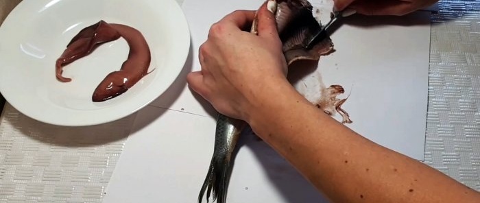 A tear-off method to quickly cut herring into boneless fillets
