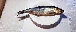 Kaedah "koyak" untuk memotong herring dengan cepat menjadi isi tanpa tulang
