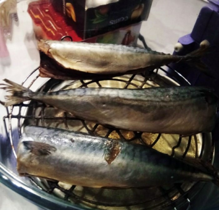 Ikan tenggiri palsu salai panas dalam masa setengah jam