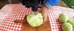 A new way to ferment large quantities of cabbage using a drill