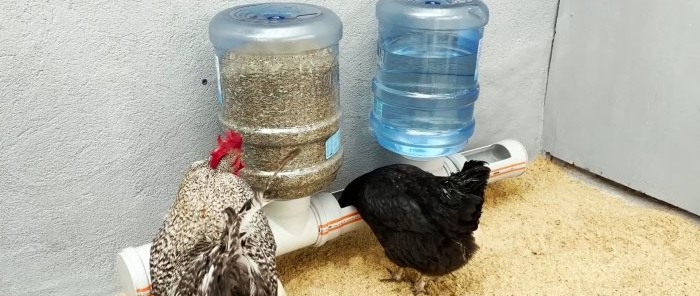 Long-lasting poultry feeder made of PVC pipes