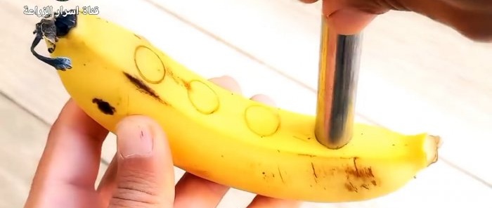 Kaip daiginti auginius naudojant bananą