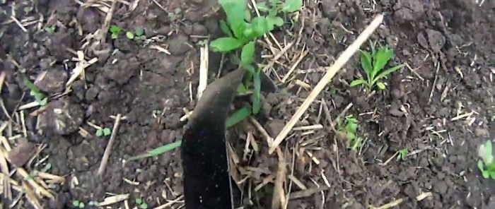 Come realizzare una zappa da giardino leggera con materiali di scarto per rimuovere le erbacce e allentare il terreno